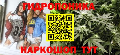 мдпв Кандалакша