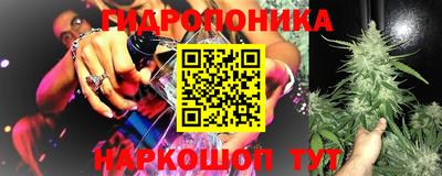 мдпв Кандалакша