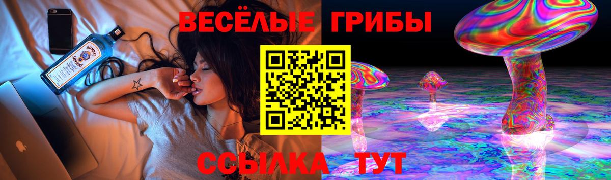 Псилоцибиновые грибы Cubensis Глазов